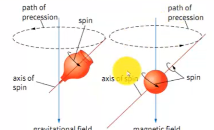 如果把质子放入到强磁场中,那么就会发生**拉莫尔进动**,拉莫尔进动指
