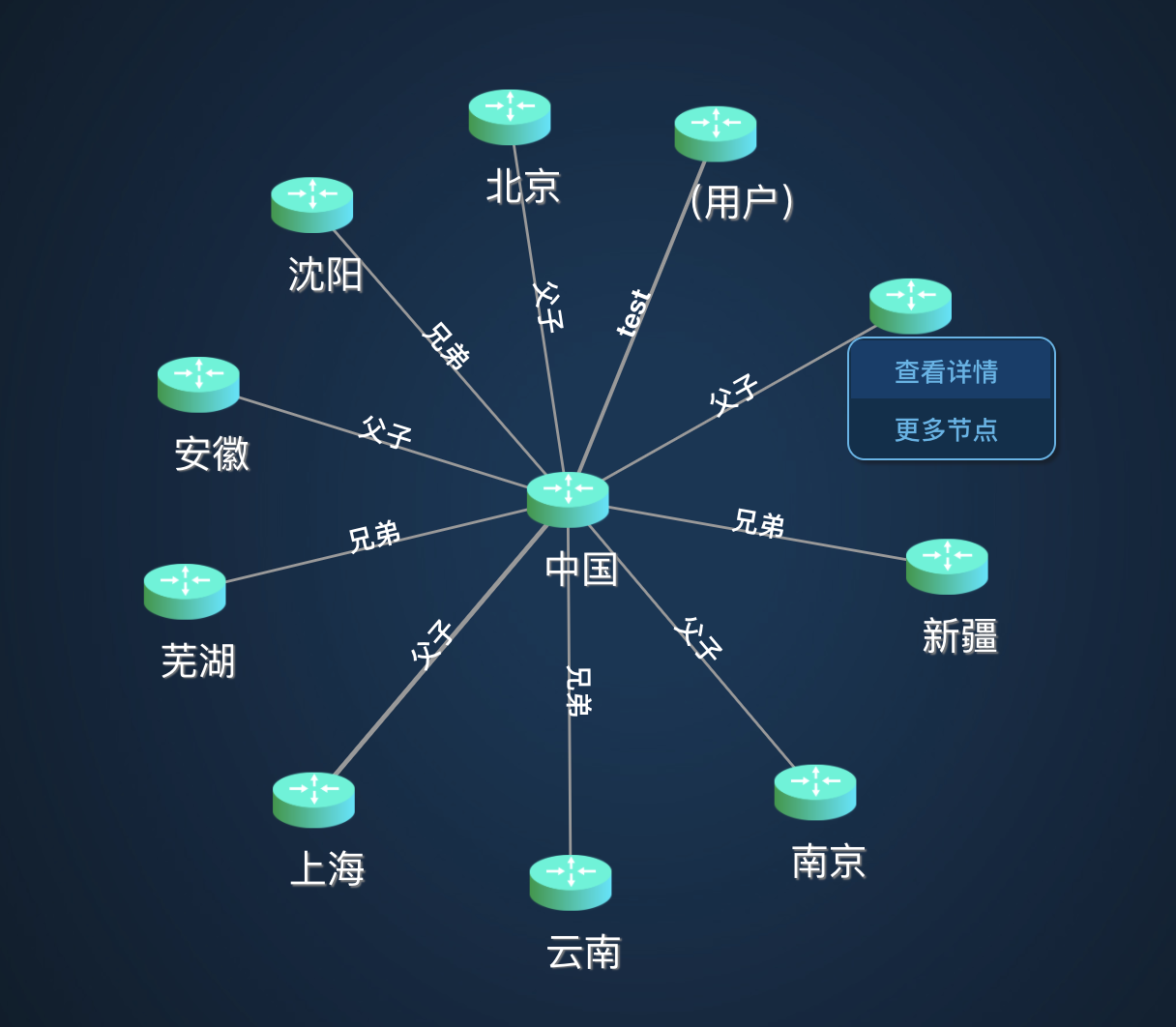 仿Neo4j里的知识图谱，利用d3+vue开发的一个网络拓扑图第3张