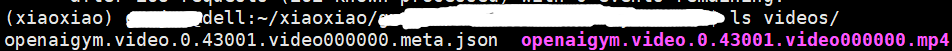 ubuntu18.04server服务器系统下为python安装虚拟显示器 （使用jupyter notebook在web端播放openai的gym下保存的运行视频——需安装ipython）第8张