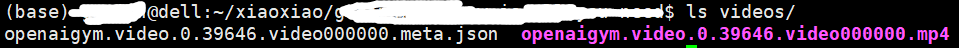 ubuntu18.04server服务器系统下为python安装虚拟显示器 （使用jupyter notebook在web端播放openai的gym下保存的运行视频——需安装ipython）第11张
