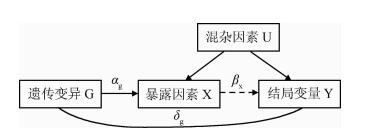 孟德尔随机化 Mendelian randomization,MR第2张