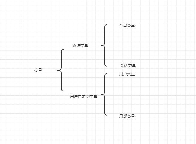 变量的分类