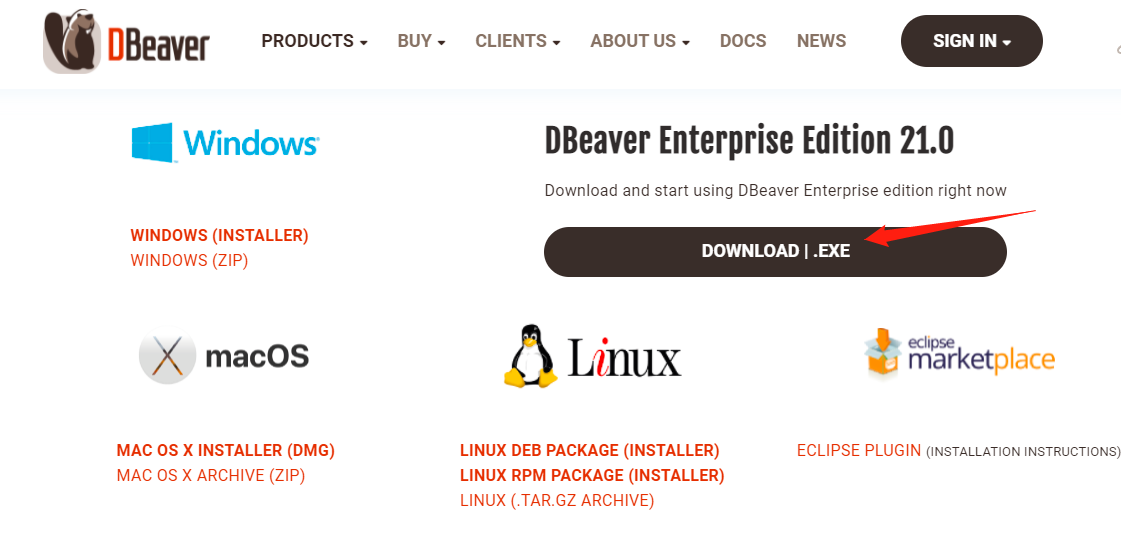 image-20210513235039097