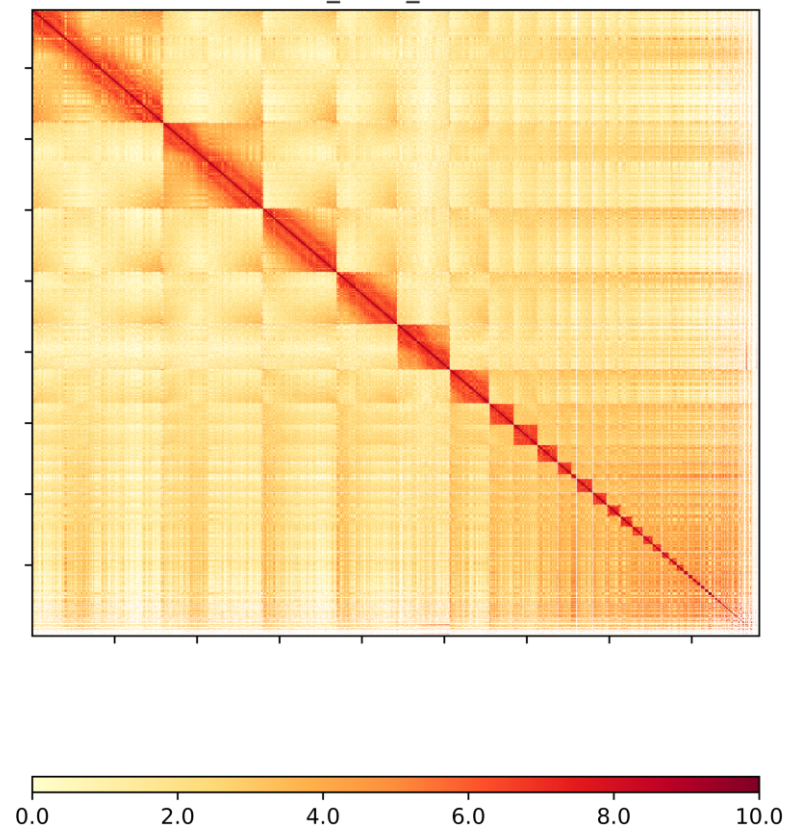 Hi-C互作热图作图神器-HiCPlotter
