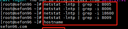 [Tomcat/Java EE/Linux]Tomcat启动异常：StandardServer.await: create[localhost:8005]: java.net.BindException: 无法指定被请求的地址第4张