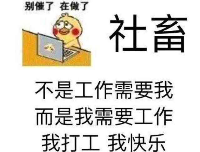 打工人不配休息图片