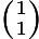 $\scriptstyle\binom{1}{1}$