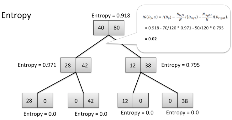 image-20200221151019752