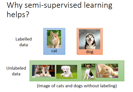 image-20200609144837927