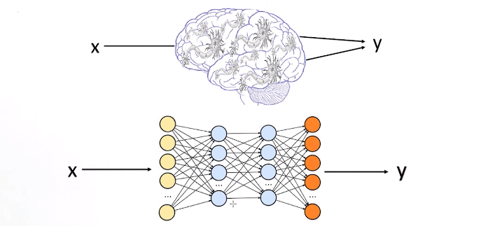 神经网络与大脑