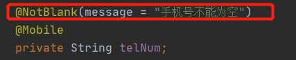 @NotBlank 注解不生效第3张