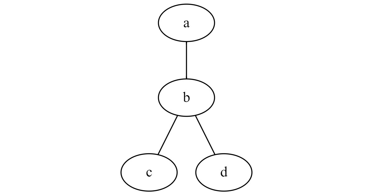 A simple undirected graph