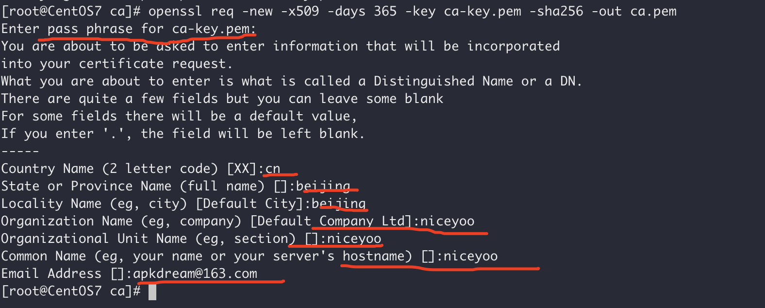 Docker开启安全的TLS远程连接第5张