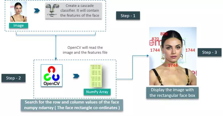 DetectionProcess