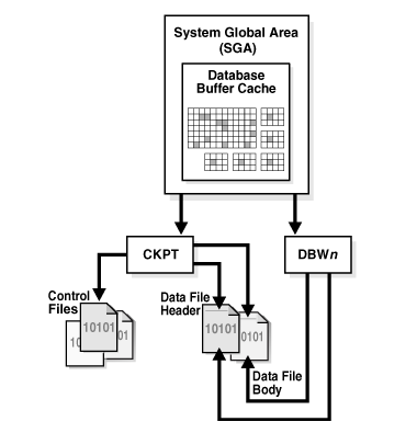 【体系结构】Oracle进程架构