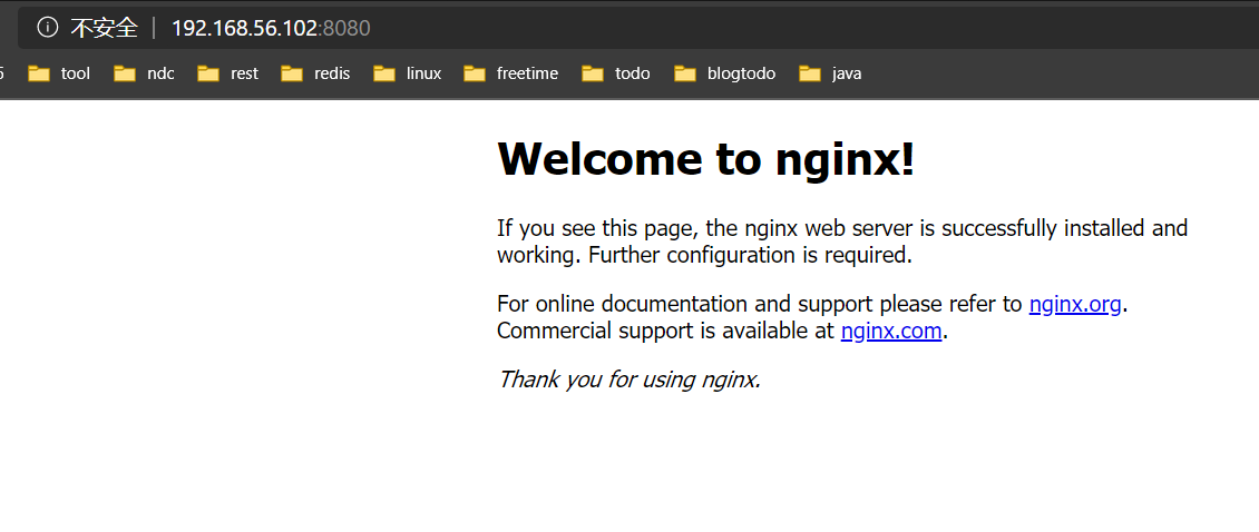 运行 nginx