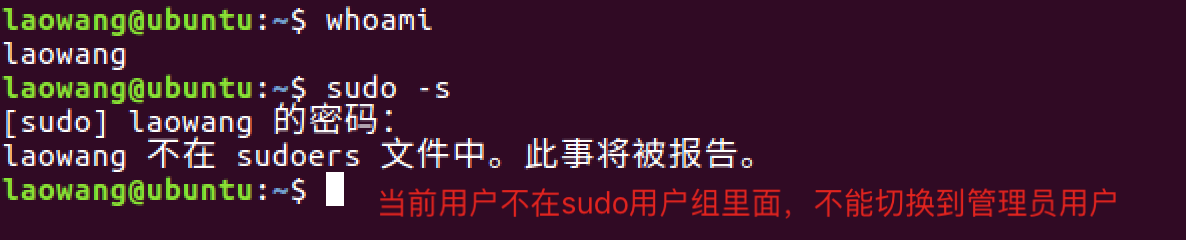 sudo -s命令