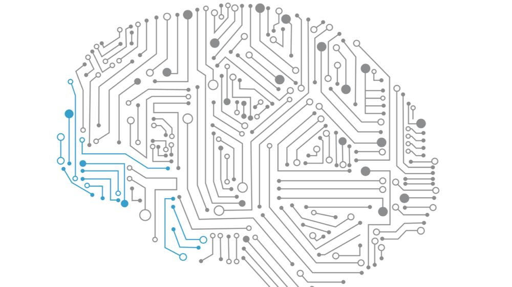 算法，排序部分总结