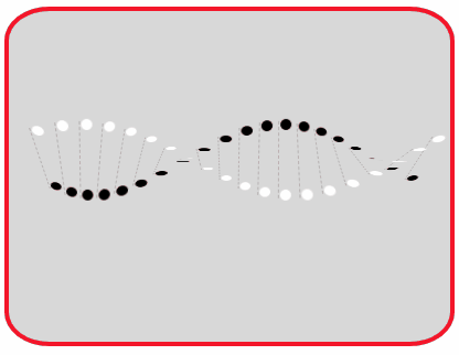 dna双螺旋结构gif图片
