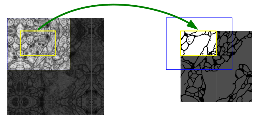 图2. 重叠图像块策略可以无缝分割任意大小的图像（EM 堆叠中的神经元结构分割）。分割的预测在黄色区域，要求蓝色区域的图像数据作为输入。缺失的输入数据通过镜像外推。