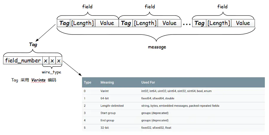 assignment not allowed to composite field protobuf