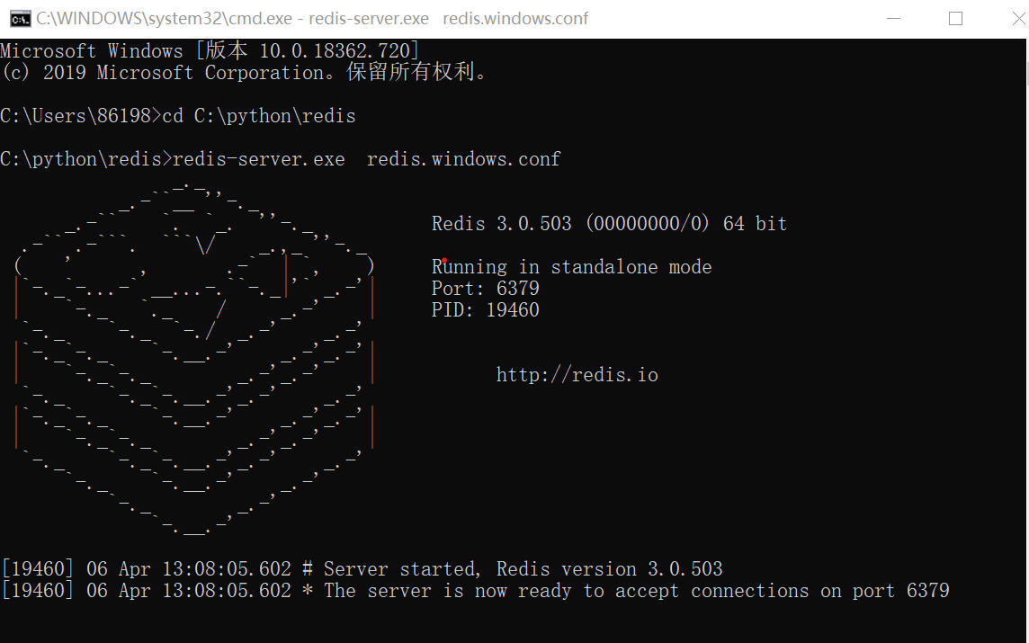 Ран бит. Redis Server. Server Path.