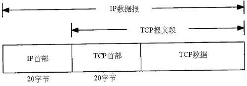 TCP数据在IP数据报中的封装
