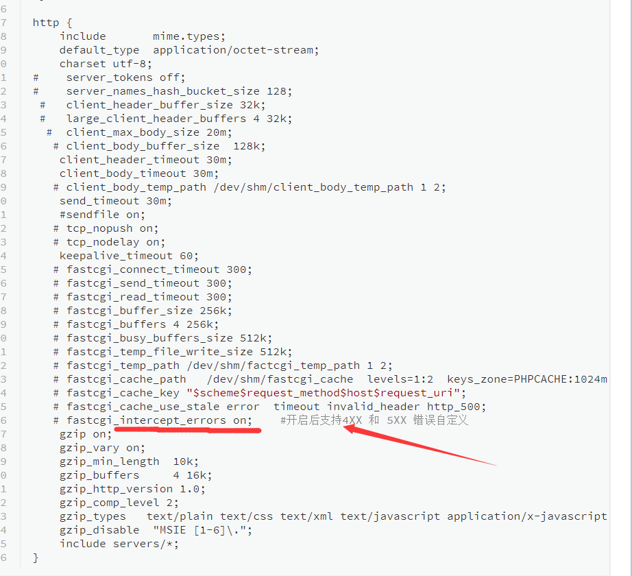 nginx 设置 404 500 页面跳转到指定页面第1张