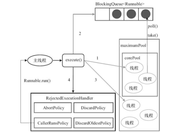 image-20210222193704099