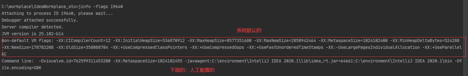 image-20210222223940035