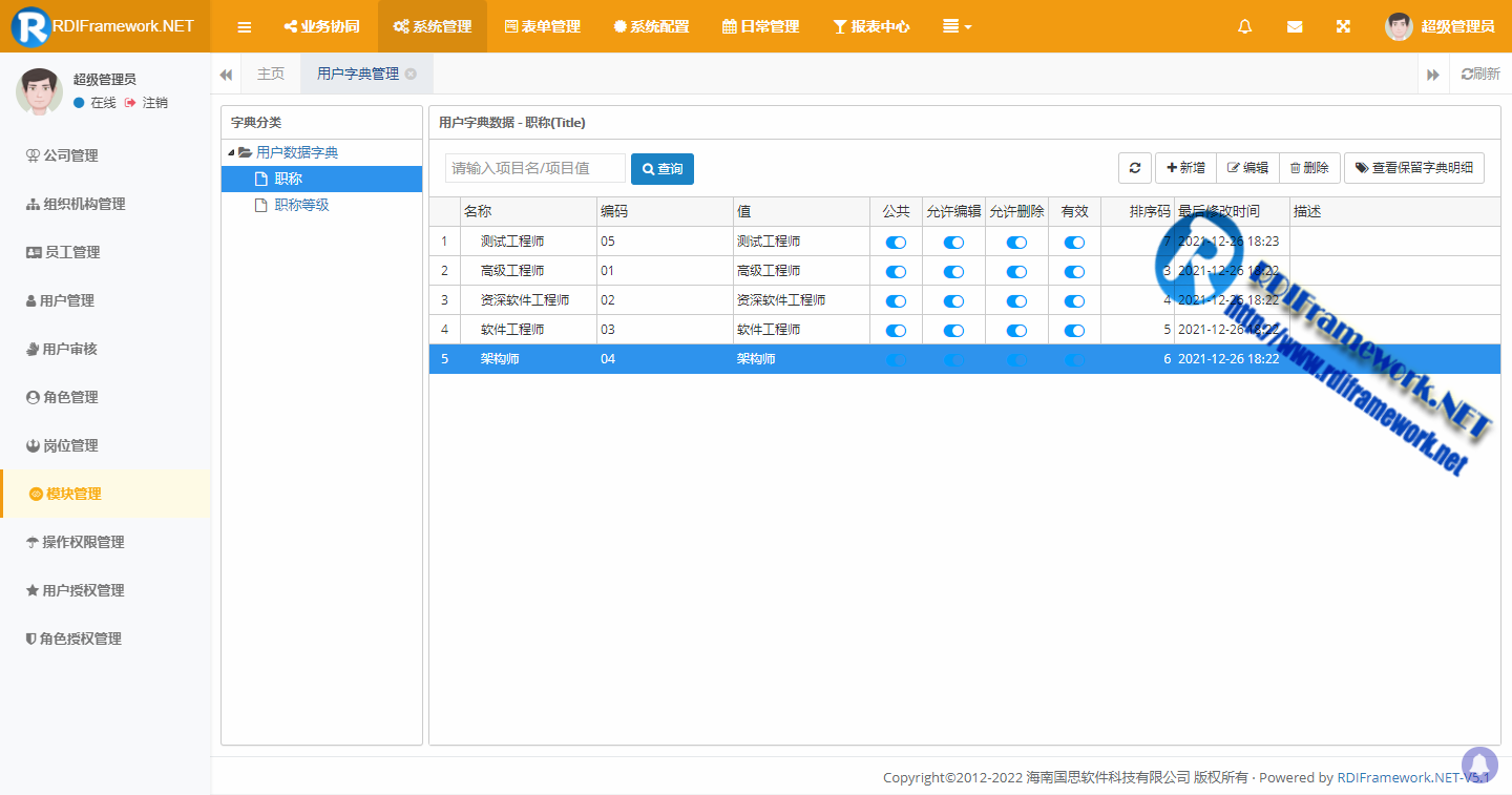 RDIFramework.NET开发框架用户字典助力Saas数据字典应用