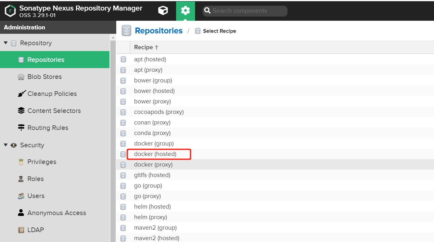 docker in docker insecure registry