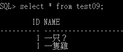 sqlplus显示乱码解决方法第5张