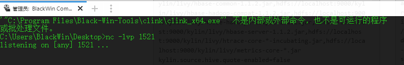 Apache Kylin远程代码执行漏洞复现（CVE-2020-1956）第15张