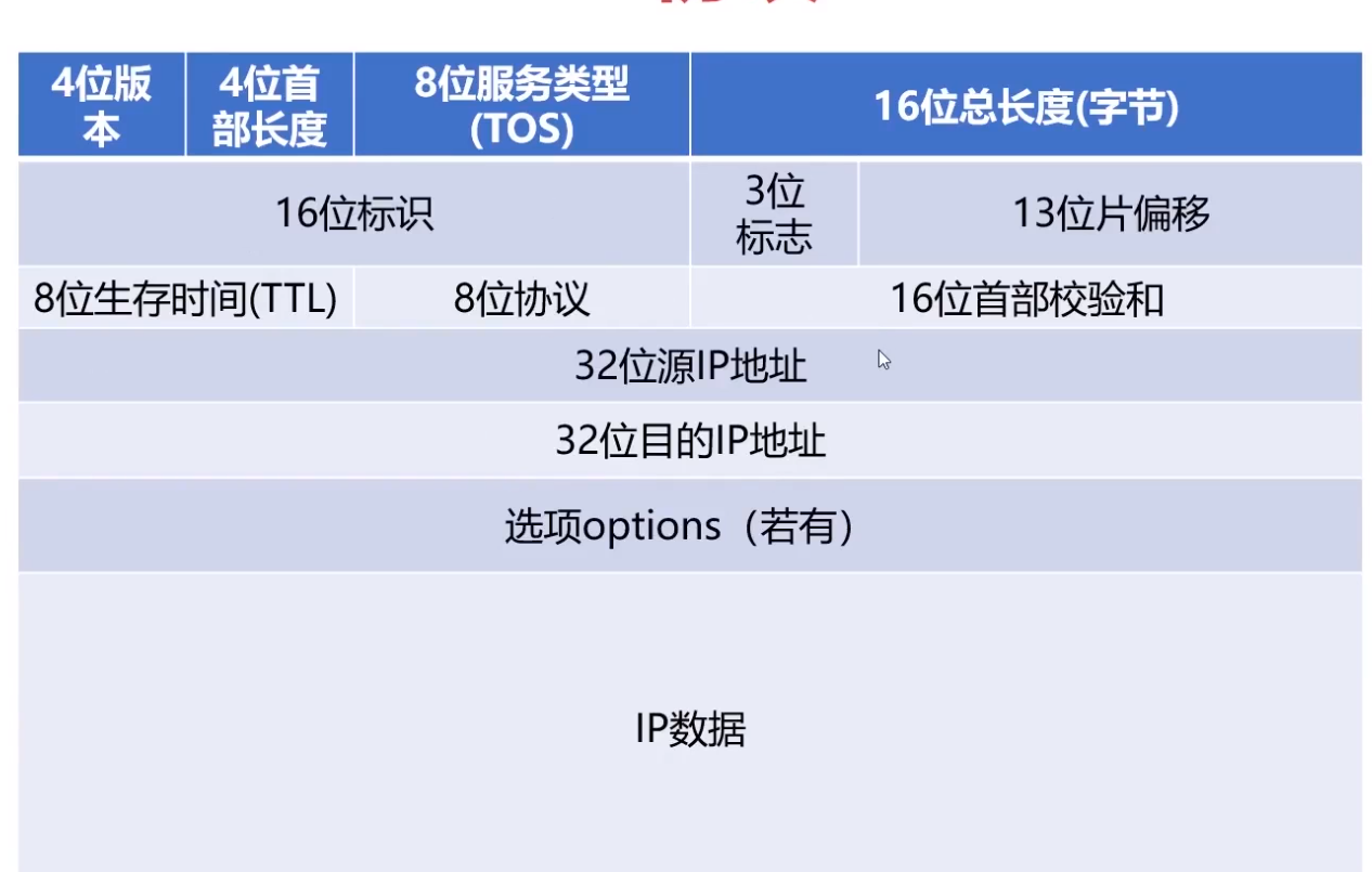 IP 协议