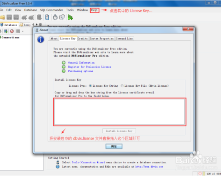 dbvisualizer license dbvisualizer license