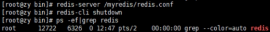 Redis6：第二章：（2）Redis6 下载安装第13张