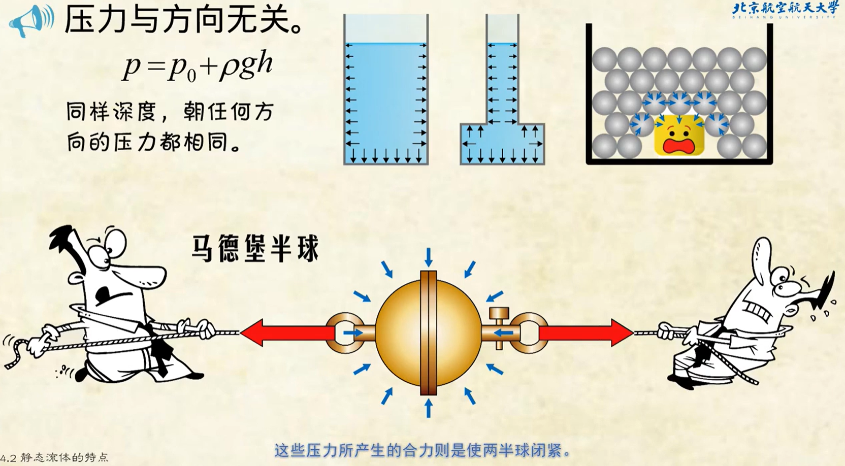 流体力学基础