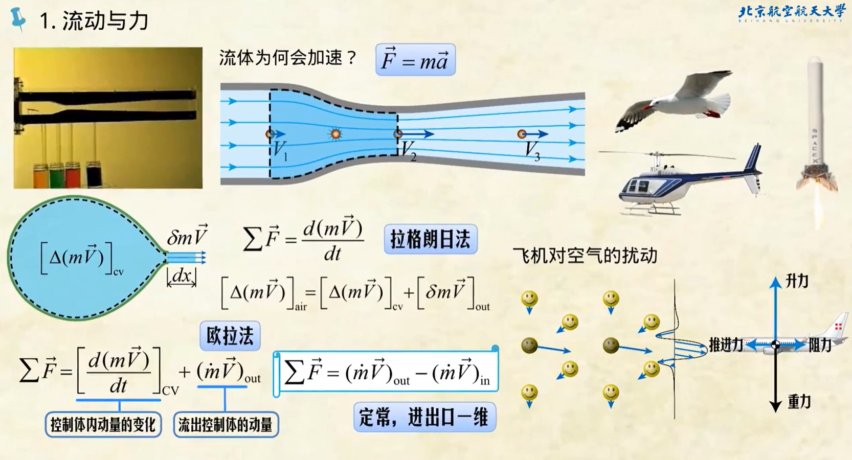 流体力学基础