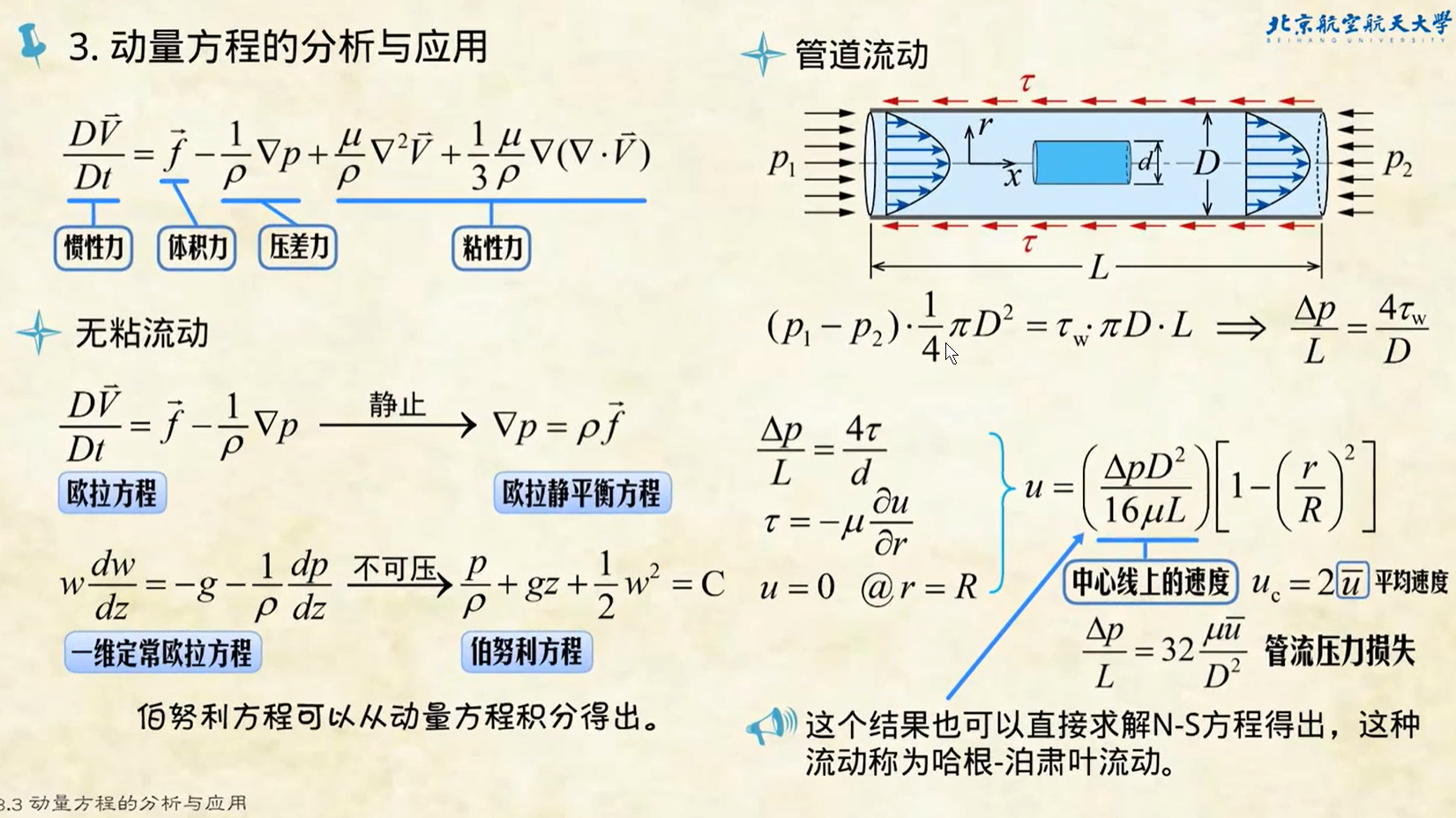 流体力学基础