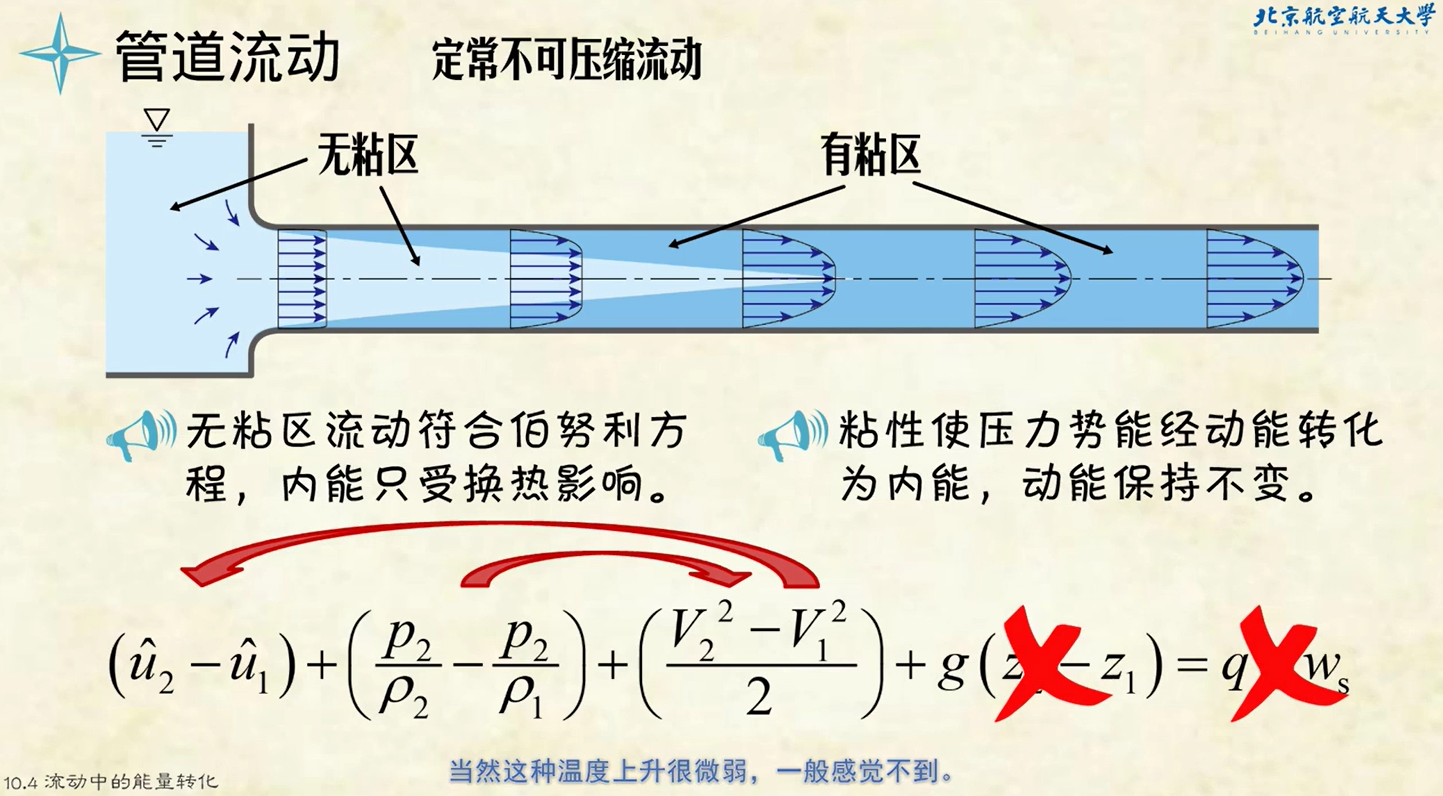 流体力学基础