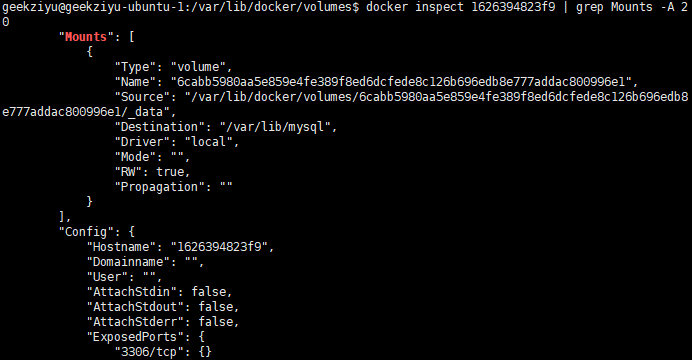 docker inspect format mount source