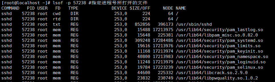 Liunx运维(十一)-系统管理命令