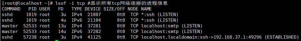 Liunx运维(十一)-系统管理命令