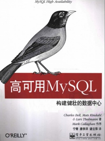 高可用MySQL：构建健壮的数据中心 PDF下载插图