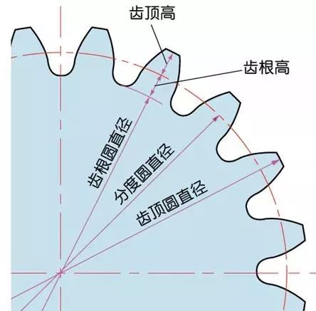 齿轮各部分名称图解图片