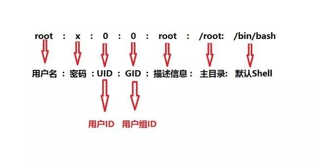 Какие поля содержатся в файле etc shadow и etc passwd