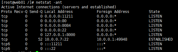 显示当前系统tcp连接