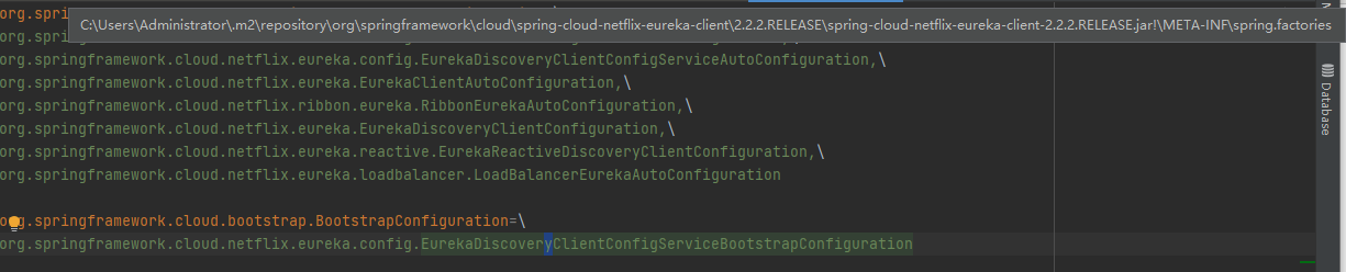 Eureka Client 加载过程以及源码第3张