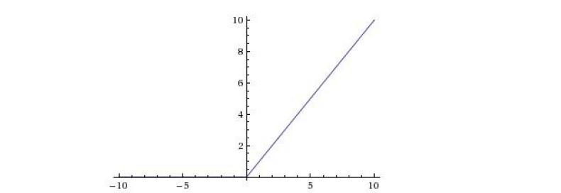 image-20210821161932809